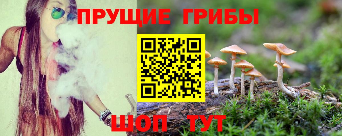 Галлюциногенные грибы прущие грибы  Галлюциногенные грибы прущие грибы  Элиста  Вход с VPN 