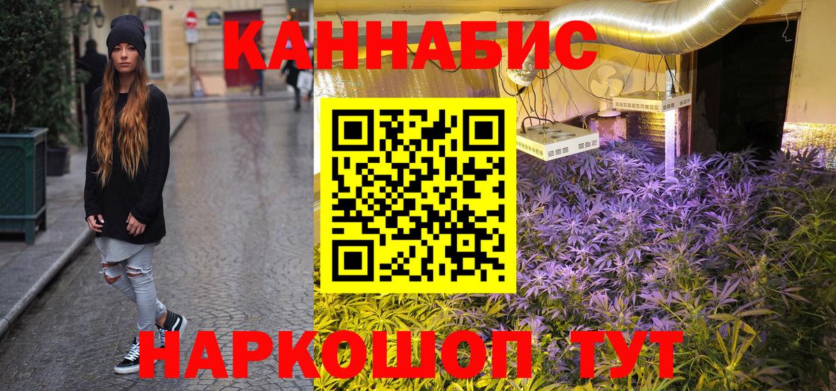Бошки марихуана VHQ Элиста